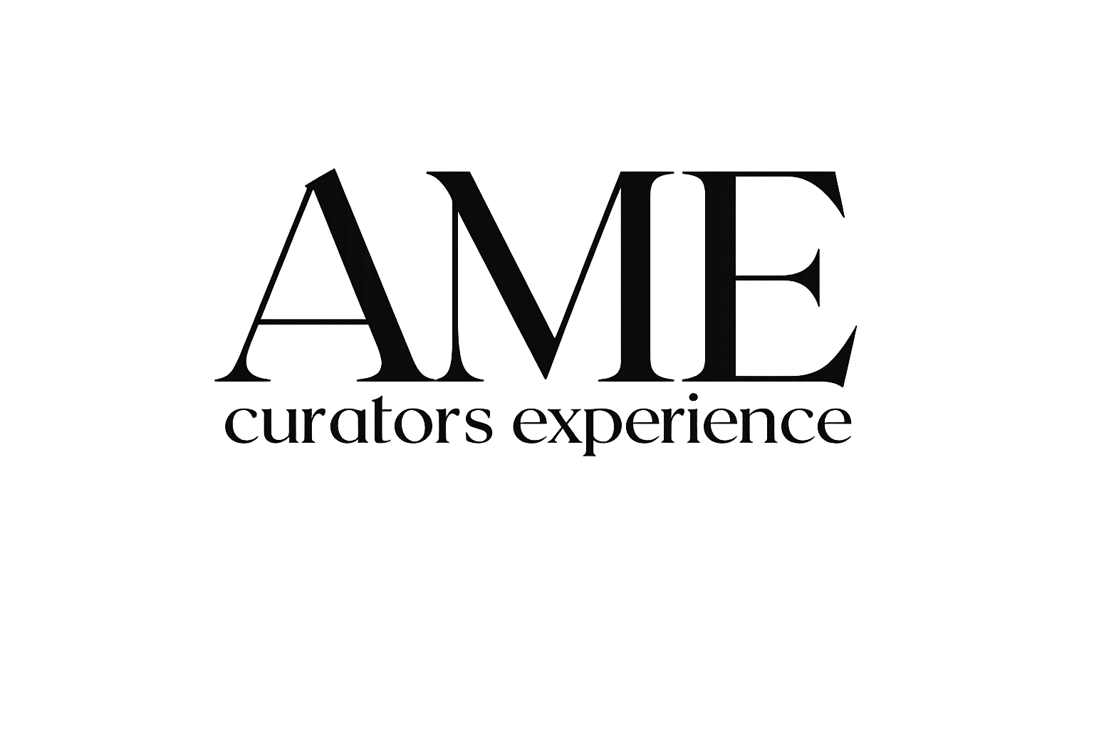 AME Curators Experience